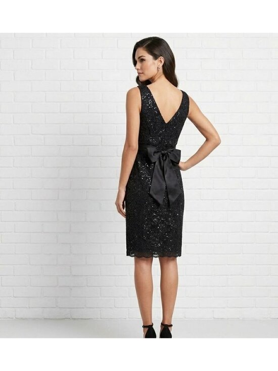 The Limited Dresses & Skirts - The Limited Black Lace Sleeveless Dress With Silk Belt & V-Neckline